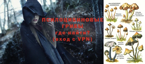 шишки Алексеевка