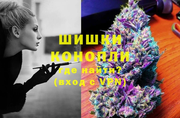 шишки Алексеевка