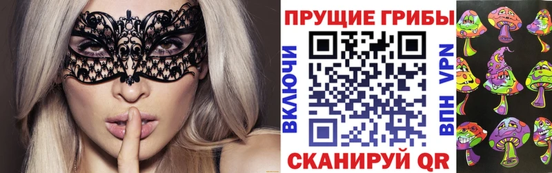 OMG зеркало  Бирск  Галлюциногенные грибы прущие грибы  дарнет шоп 